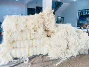 WhatsApp Image 2026-01-08 at 15.00.54 (1)